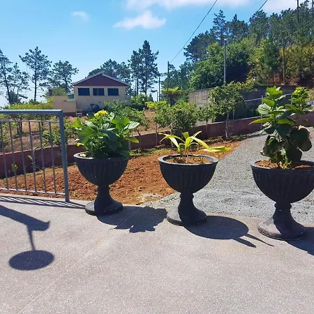 Apartment Modern In Prazeres With Shared Pool, 150 M²